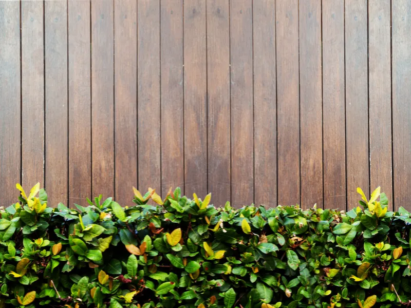 garden fence raleigh