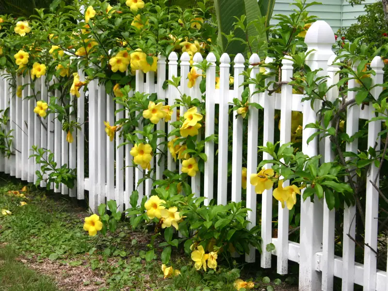raleigh nc privacy garden fence